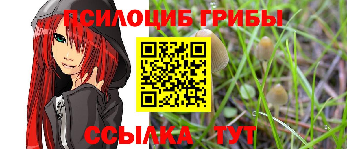 Псилоцибиновые грибы Psilocybine cubensis Урюпинск